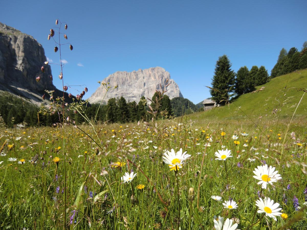 Edelweiss Hotel Braies (Prags)