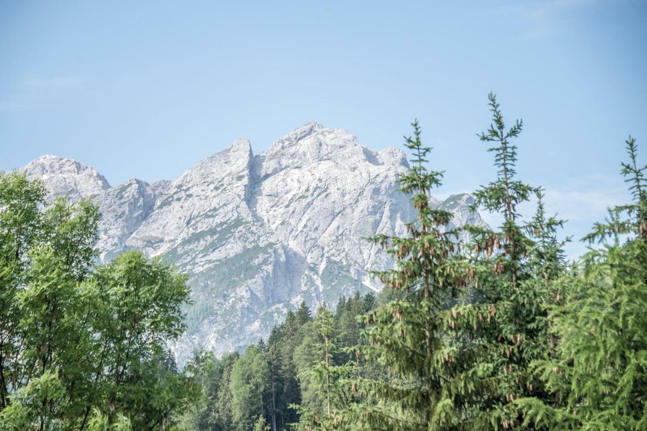 Edelweiss Hotel